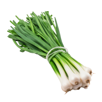 Onion Spring (bulbs)